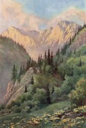 The Tannin Glen, Lidar Valley